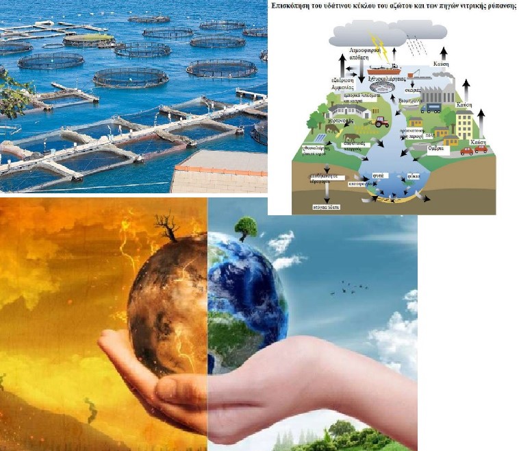 Εικόνα επιλογής